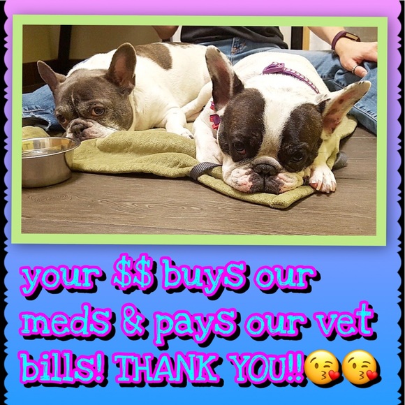 NWT—VS PINK waterproof makeup bag - Picture 8 of 8